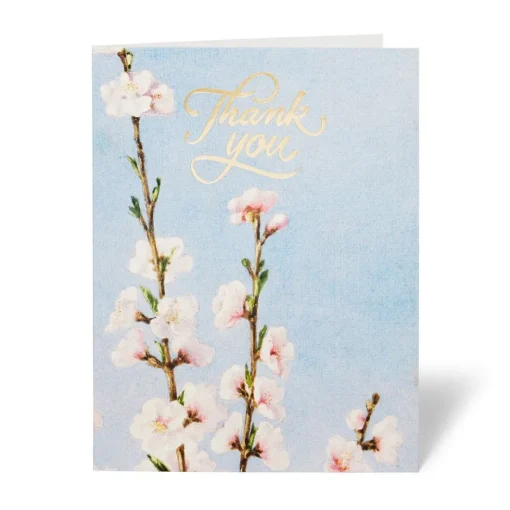 The Met Store Notecards & Correspondence*American Florals Thank-You Cards