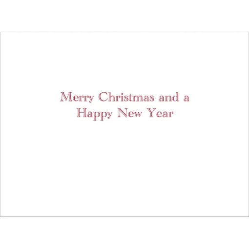 The Met Store Holiday Cards*Gordon: Santa at Mailbox Holiday Cards
