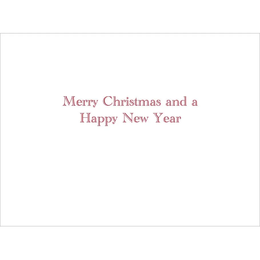 The Met Store Holiday Cards*Gordon: Santa at Mailbox Holiday Cards