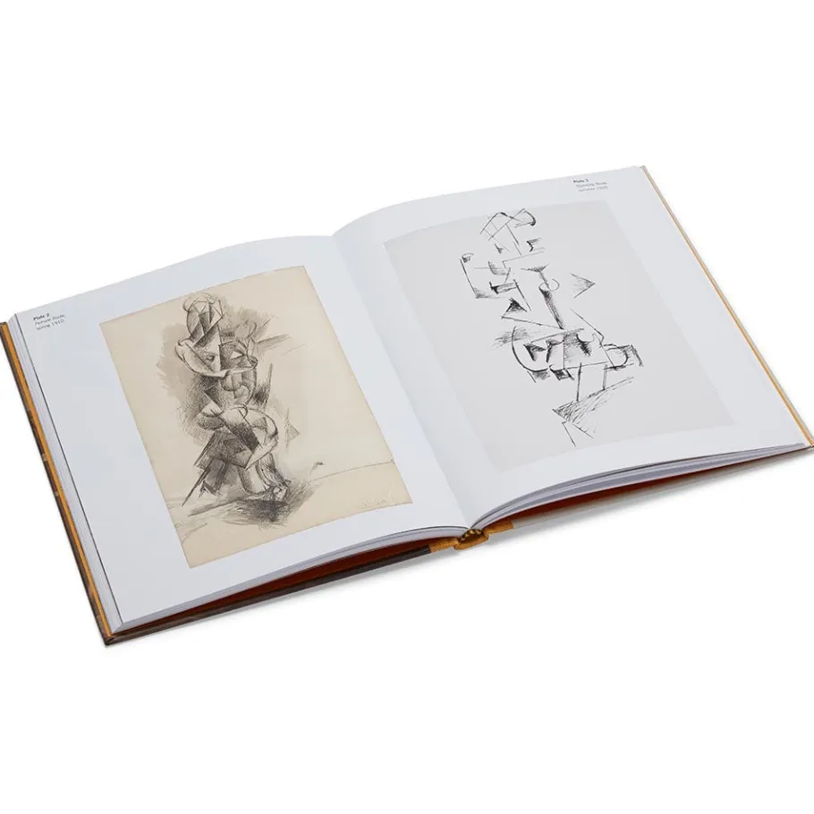 The Met Store Coffee Table Books|Met Publications*Picasso: A Cubist Commission in Brooklyn