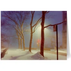 The Met Store Holiday Cards*Staller: Sutton Place, New York City Holiday Cards