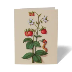 The Met Store Notecards & Correspondence*The Met Cloisters Garden Notecards