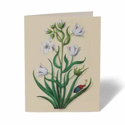 The Met Store Notecards & Correspondence*The Met Cloisters Garden Notecards