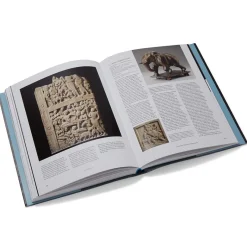 The Met Store Met Publications|Exhibition Catalogues*Tree & Serpent: Early Buddhist Art in India